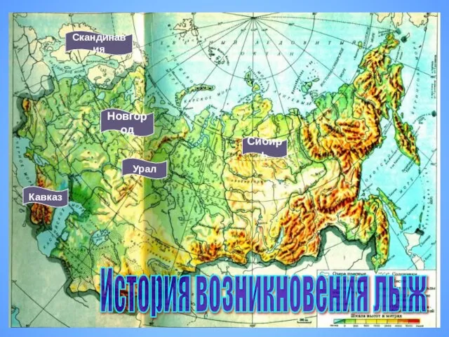 История возникновения лыж Новгород Урал Кавказ Сибирь Скандинавия