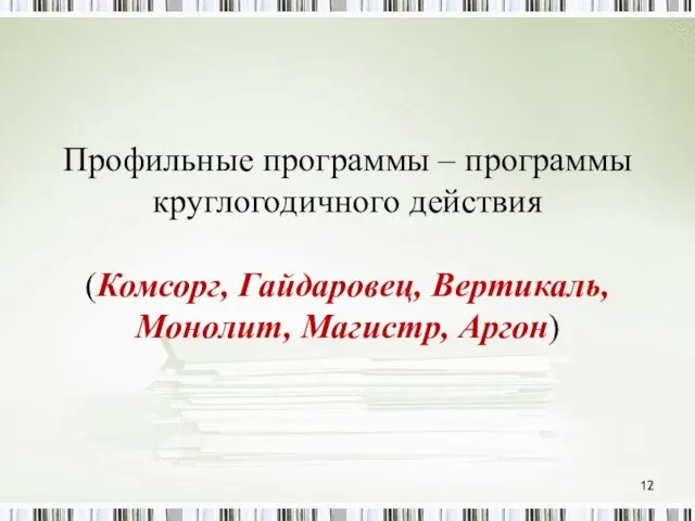 Профильные программы – программы круглогодичного действия (Комсорг, Гайдаровец, Вертикаль, Монолит, Магистр, Аргон)