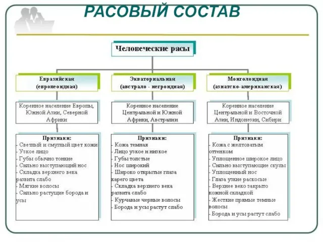 РАСОВЫЙ СОСТАВ