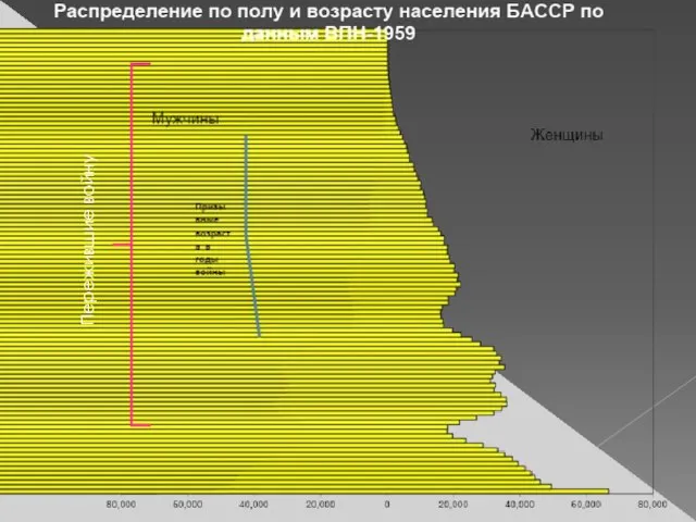 Пережившие войну