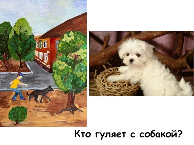 Кто гуляет с собакой?