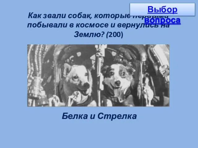 Как звали собак, которые первыми побывали в космосе и вернулись на Землю?