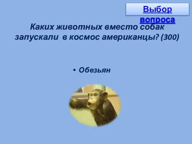 Каких животных вместо собак запускали в космос американцы? (300) Обезьян Выбор вопроса