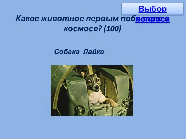 Какое животное первым побывало в космосе? (100) Собака Лайка Выбор вопроса