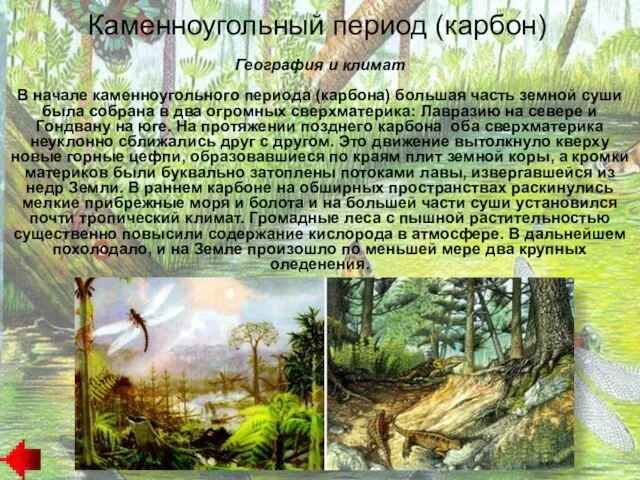 География и климат В начале каменноугольного периода (карбона) большая часть земной суши