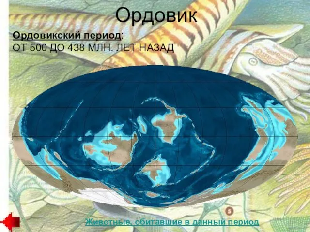 Животные, обитавшие в данный период Ордовикский период: ОТ 500 ДО 438 МЛН. ЛЕТ НАЗАД Ордовик