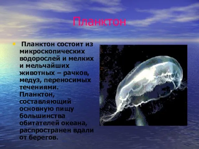 Планктон Планктон состоит из микроскопических водорослей и мелких и мельчайших животных –