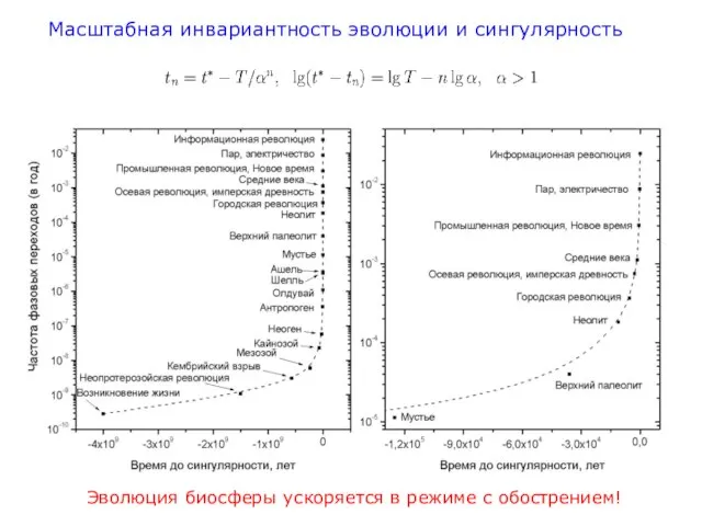 Масштабная инвариантность эволюции и сингулярность Эволюция биосферы ускоряется в режиме с обострением!