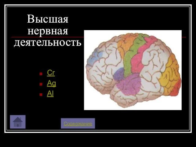 Высшая нервная деятельность Cr Ag Al Содержание