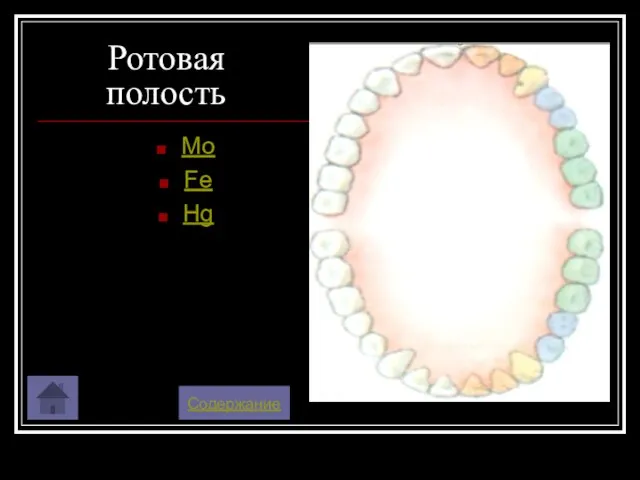 Ротовая полость Mo Fe Hg Содержание