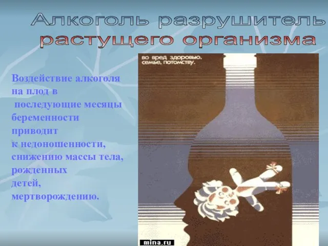 Алкоголь разрушитель растущего организма Воздействие алкоголя на плод в последующие месяцы беременности