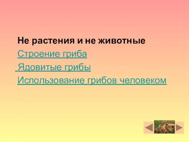 Не растения и не животные Строение гриба Ядовитые грибы Использование грибов человеком