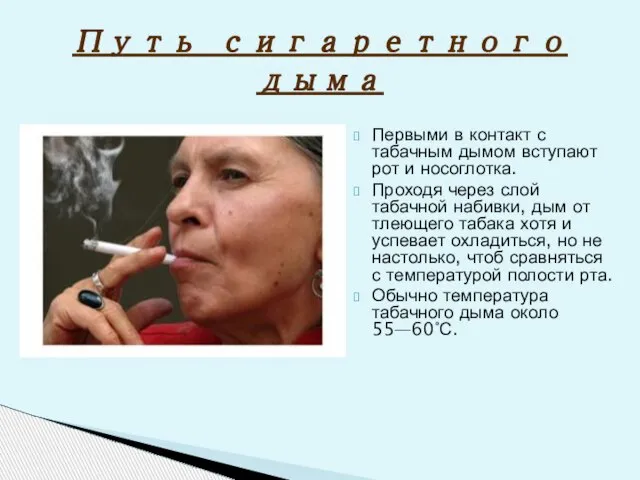 Путь сигаретного дыма Первыми в контакт с табачным дымом вступают рот и