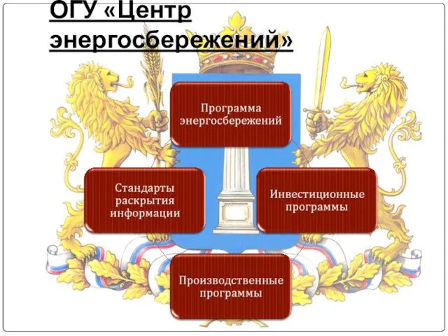 ОГУ «Центр энергосбережений»