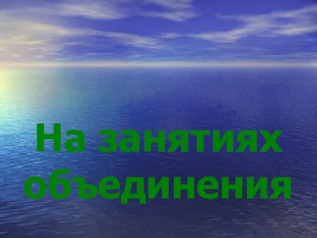 На занятиях объединения