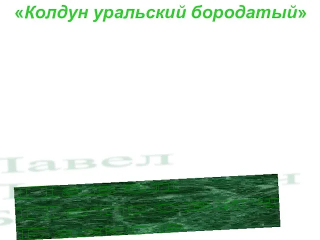 Павел Петрович Бажов «Колдун уральский бородатый»