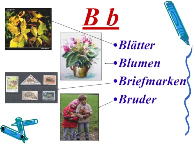 B b Blätter Blumen Briefmarken Bruder