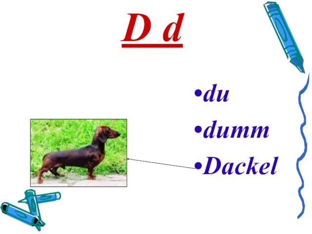 D d du dumm Dackel