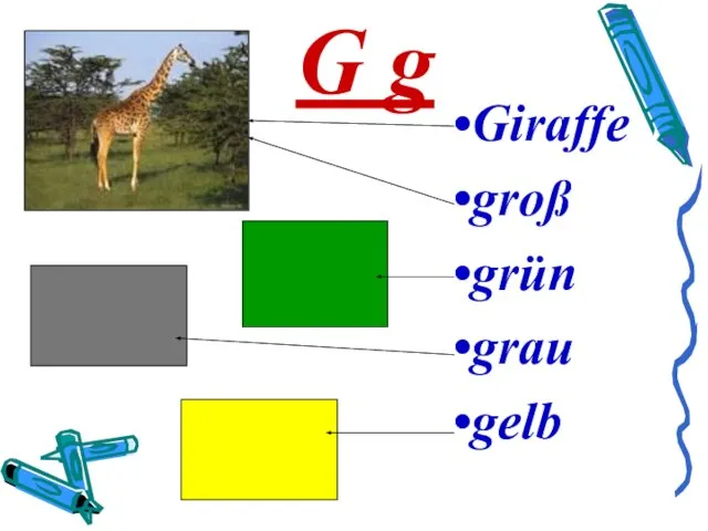 G g Giraffe groß grün grau gelb