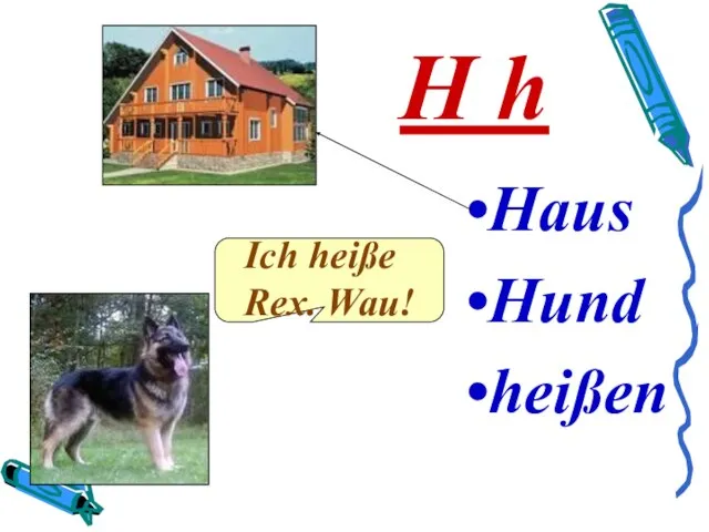 H h Haus Hund heißen Ich heiße Rex. Wau!