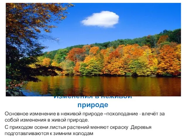 Изменения в неживой природе Основное изменение в неживой природе –похолодание - влечёт