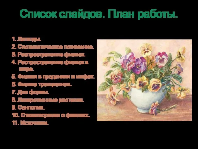 Список слайдов. План работы. 1. Легенды. 2. Систематическое положение. 3. Распространение фиалок.