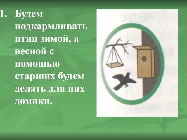 Будем подкармливать птиц зимой, а весной с помощью старших будем делать для них домики.