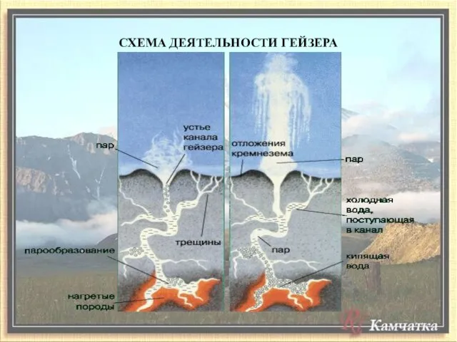 СХЕМА ДЕЯТЕЛЬНОСТИ ГЕЙЗЕРА