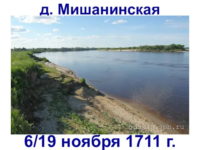 д. Мишанинская 6/19 ноября 1711 г.