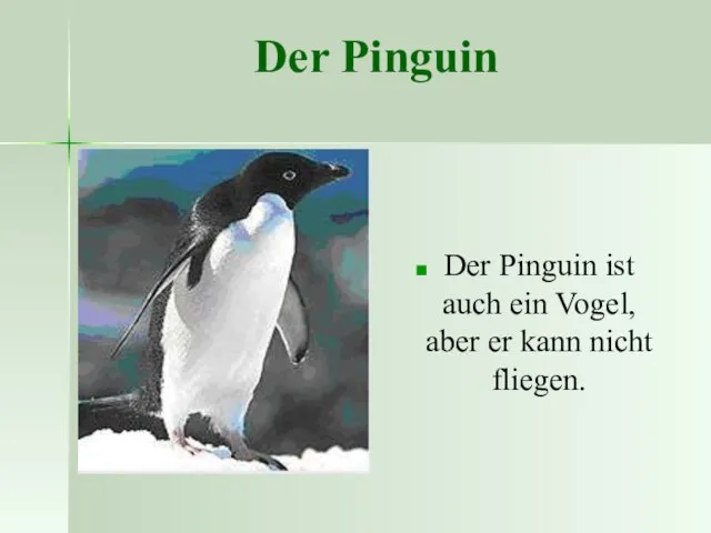 Der Pinguin Der Pinguin ist auch ein Vogel, aber er kann nicht fliegen.