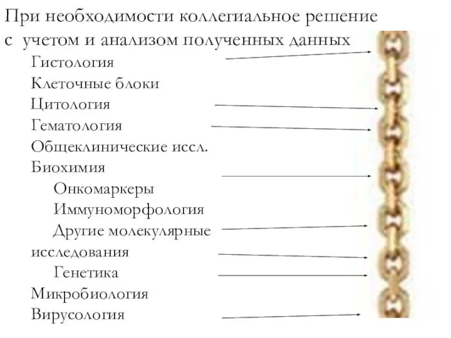 Гистология Клеточные блоки Цитология Гематология Общеклинические иссл. Биохимия Онкомаркеры Иммуноморфология Другие молекулярные