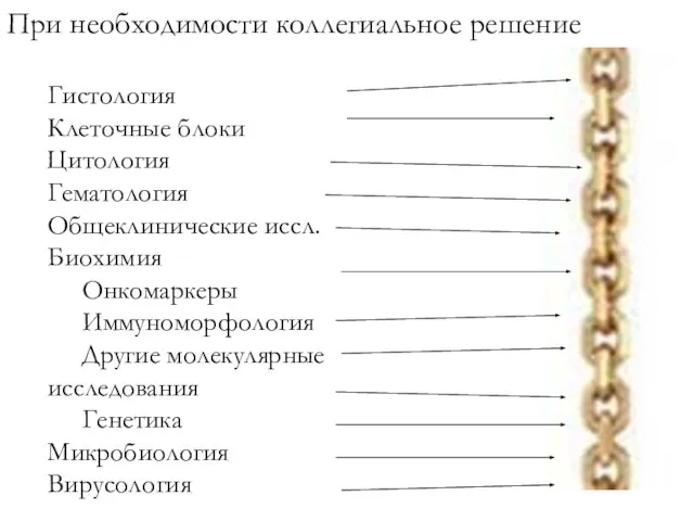 Гистология Клеточные блоки Цитология Гематология Общеклинические иссл. Биохимия Онкомаркеры Иммуноморфология Другие молекулярные