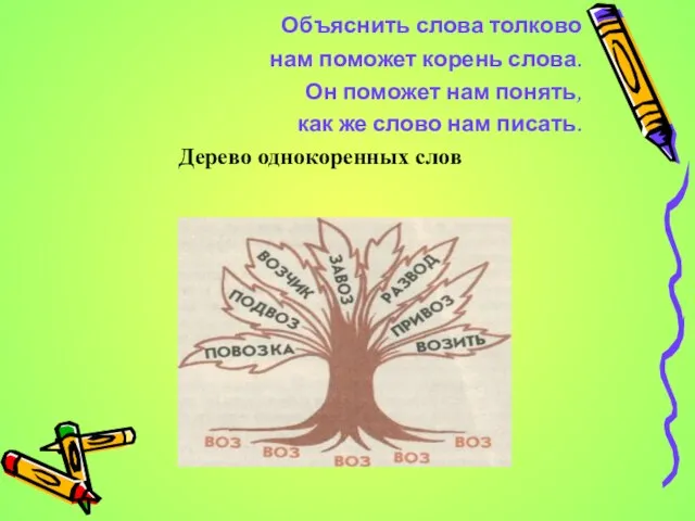 Объяснить слова толково нам поможет корень слова. Он поможет нам понять, как