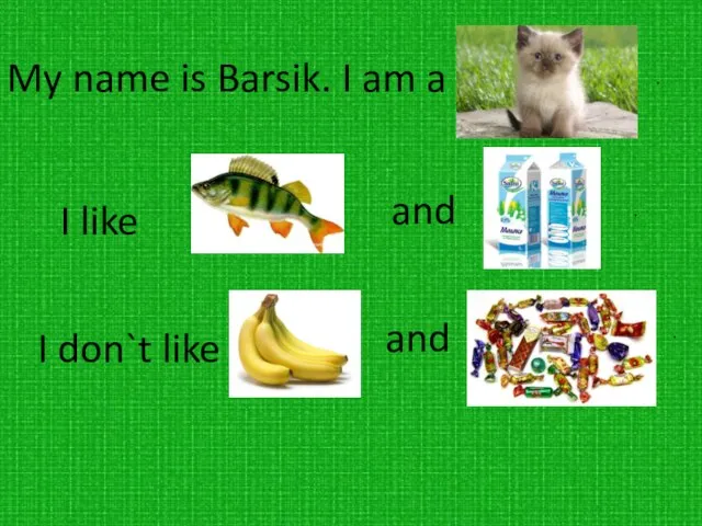 My name is Barsik. I am a I like and . .