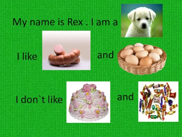 My name is Rex . I am a . I like and