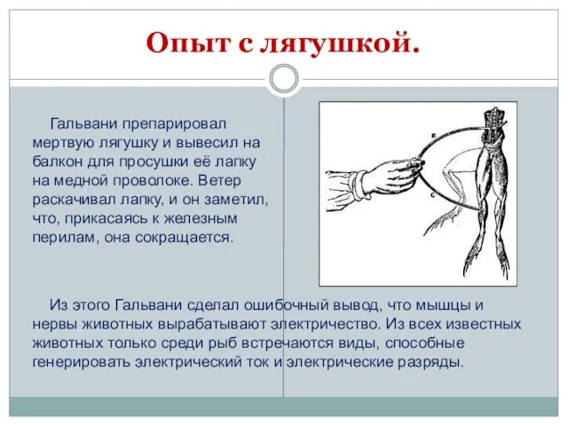 Опыт с лягушкой. Гальвани препарировал мертвую лягушку и вывесил на балкон для