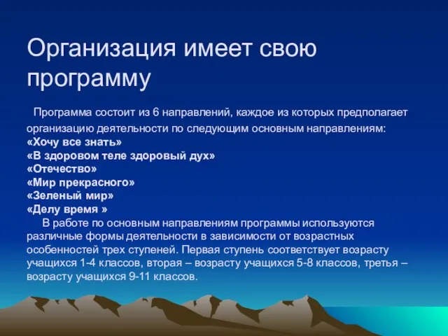 Организация имеет свою программу Программа состоит из 6 направлений, каждое из которых