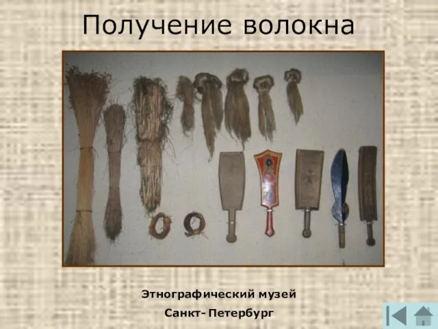 Получение волокна Этнографический музей Санкт- Петербург