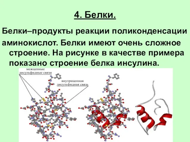 4. Белки. Белки–продукты реакции поликонденсации аминокислот. Белки имеют очень сложное строение. На