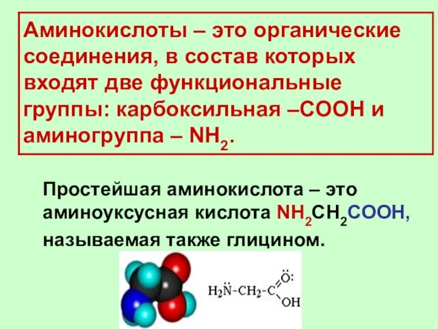 Аминокислоты – это органические соединения, в состав которых входят две функциональные группы: