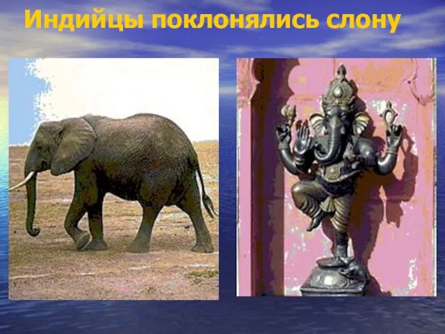 Индийцы поклонялись слону