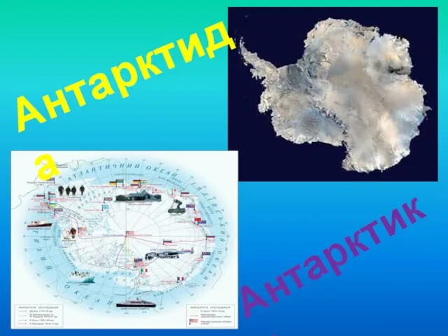 Антарктида Антарктика