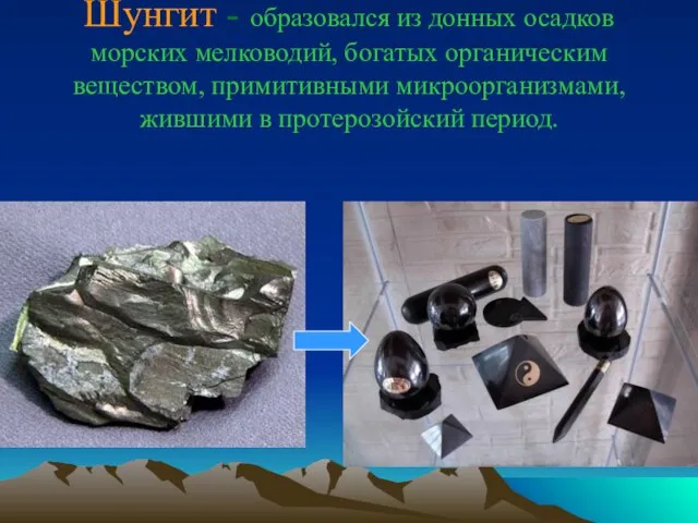 Шунгит - образовался из донных осадков морских мелководий, богатых органическим веществом, примитивными