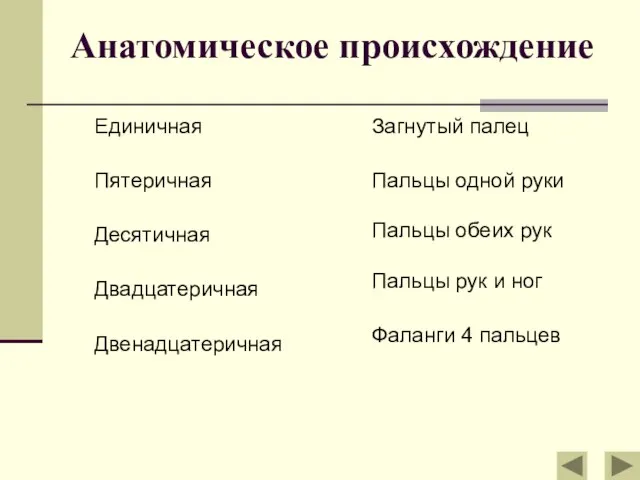 Анатомическое происхождение Единичная Пятеричная Десятичная Двадцатеричная Двенадцатеричная Загнутый палец Пальцы одной руки