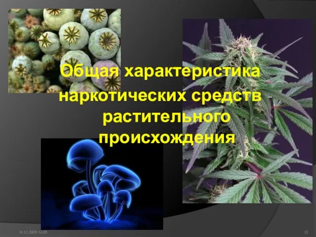 14.11.2009 16:05 Общая характеристика наркотических средств растительного происхождения