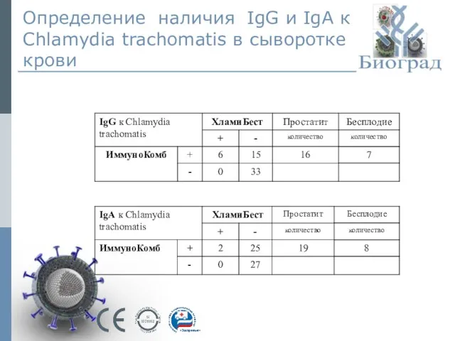 Определение наличия IgG и IgА к Chlamydia trachomatis в сыворотке крови