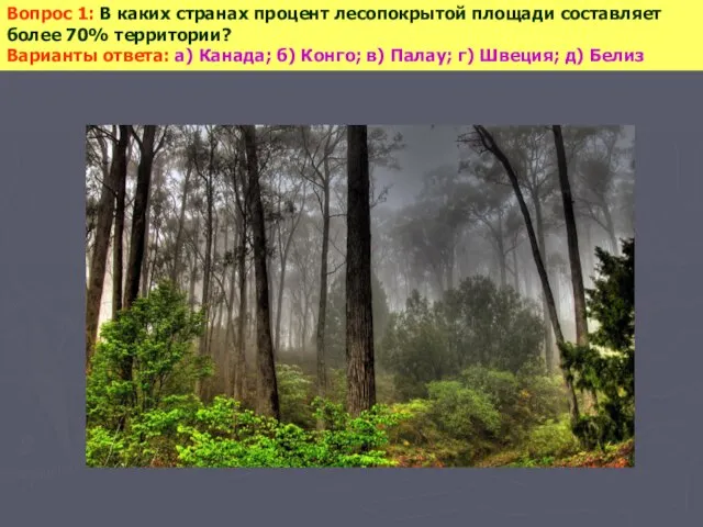 Вопрос 1: В каких странах процент лесопокрытой площади составляет более 70% территории?