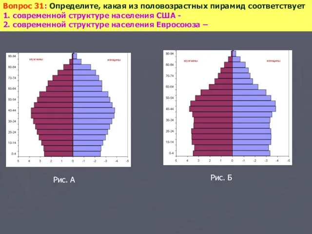 Вопрос 31: Определите, какая из половозрастных пирамид соответствует 1. современной структуре населения