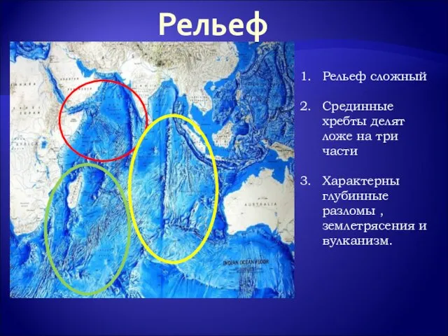Рельеф Рельеф сложный Срединные хребты делят ложе на три части Характерны глубинные