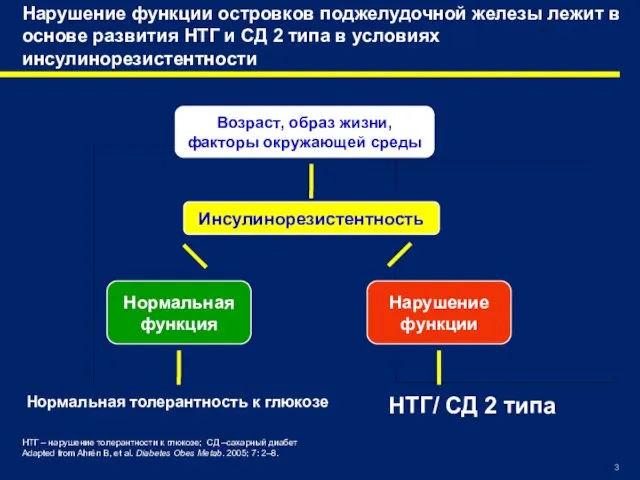 Нарушение функции островков поджелудочной железы лежит в основе развития НТГ и СД